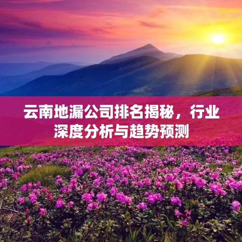 云南地漏公司排名揭秘,行业深度分析与趋势预测
