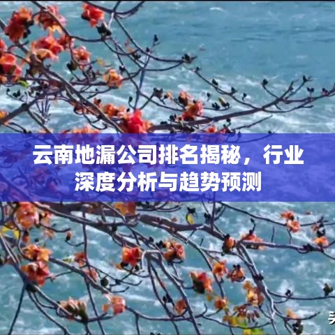 云南地漏公司排名揭秘,行业深度分析与趋势预测