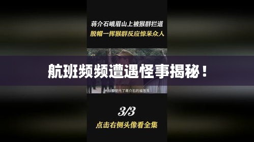 航班频频遭遇怪事揭秘!