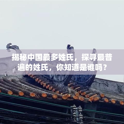 揭秘中国最多姓氏,探寻最普遍的姓氏,你知道是谁吗?