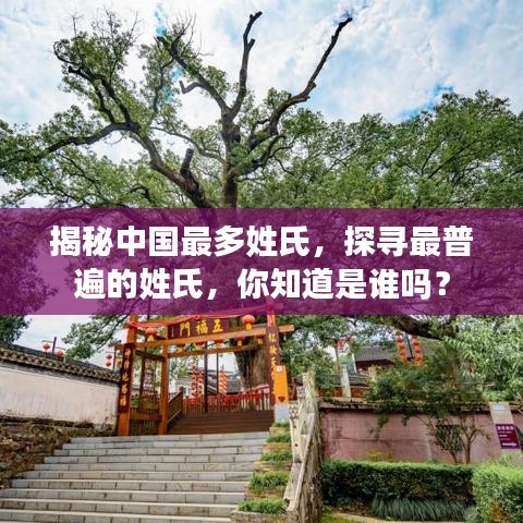 揭秘中国最多姓氏,探寻最普遍的姓氏,你知道是谁吗?