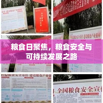 粮食日聚焦,粮食安全与可持续发展之路