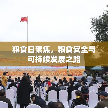粮食日聚焦,粮食安全与可持续发展之路