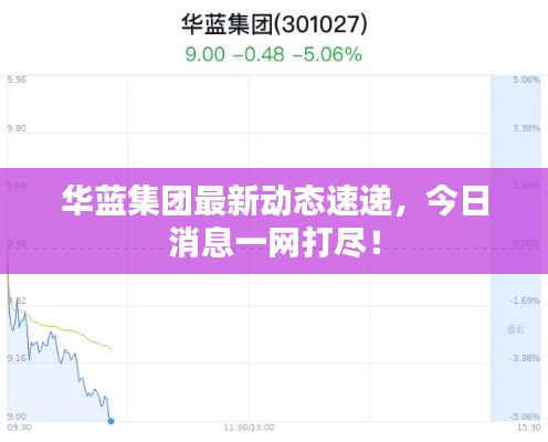华蓝集团最新动态速递,今日消息一网打尽!