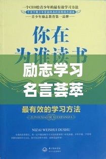 励志学习名言荟萃,小说中的智慧启示
