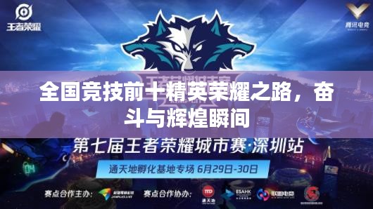 全国竞技前十精英荣耀之路,奋斗与辉煌瞬间
