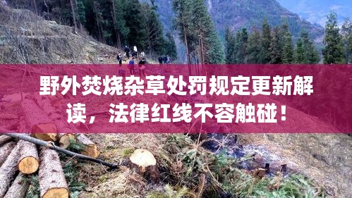 野外焚烧杂草处罚规定更新解读,法律红线不容触碰!