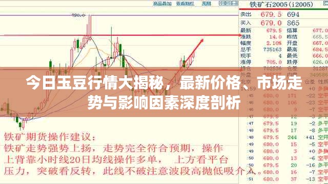 今日玉豆行情大揭秘,最新价格、市场走势与影响因素深度剖析