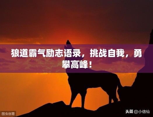 狼道霸气励志语录,挑战自我,勇攀高峰!