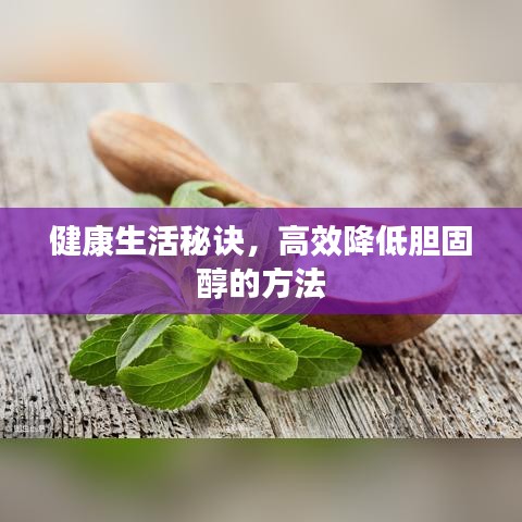 健康生活秘诀,高效降低胆固醇的方法