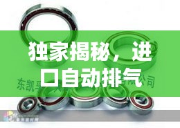 独家揭秘,进口自动排气阀公司排名榜单,权威榜单不容错过!