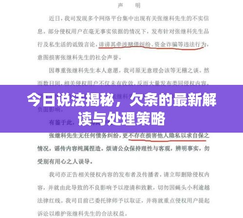 今日说法揭秘,欠条的最新解读与处理策略