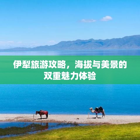 伊犁旅游攻略,海拔与美景的双重魅力体验