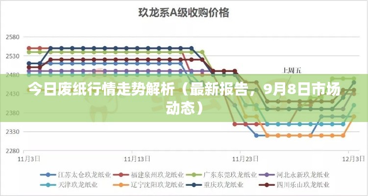 今日废纸行情走势解析(最新报告,9月8日市场动态)