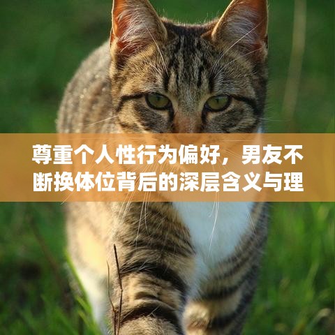 尊重个人性行为偏好,男友不断换体位背后的深层含义与理解