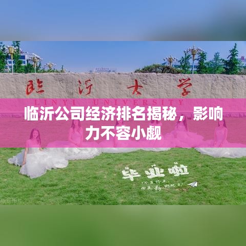 临沂公司经济排名揭秘,影响力不容小觑