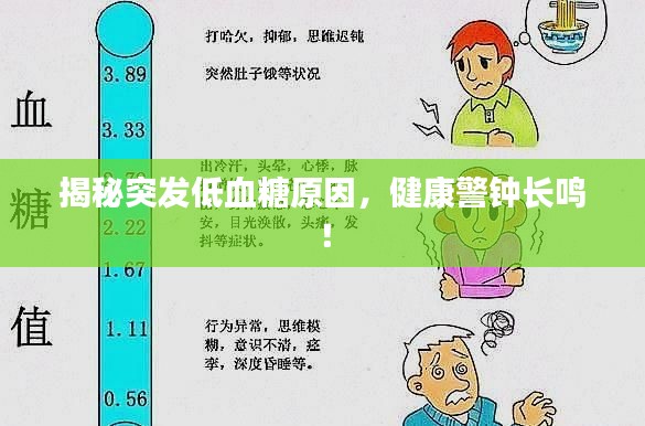 揭秘突发低血糖原因,健康警钟长鸣!