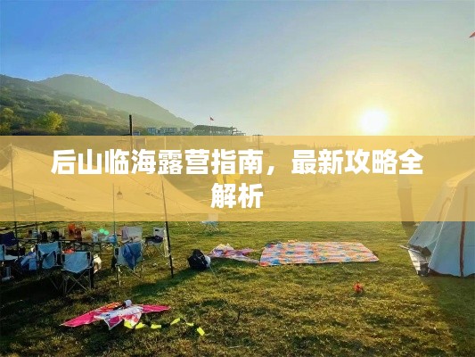 虫蚀鸟步 第3页