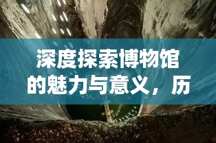 深度探索博物馆的魅力与意义,历史与文化的宝藏之地