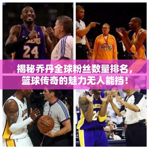 揭秘乔丹全球粉丝数量排名,篮球传奇的魅力无人能挡!