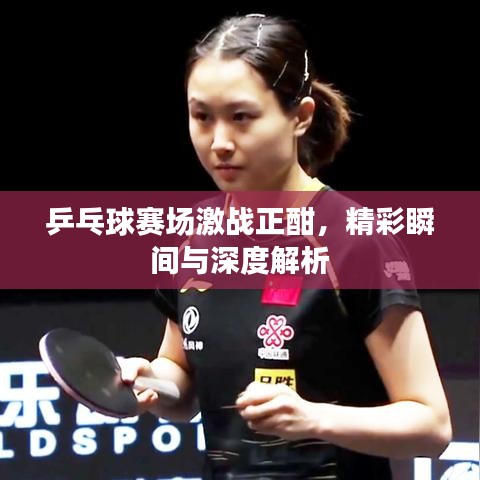 乒乓球赛场激战正酣,精彩瞬间与深度解析