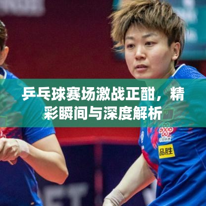 乒乓球赛场激战正酣,精彩瞬间与深度解析