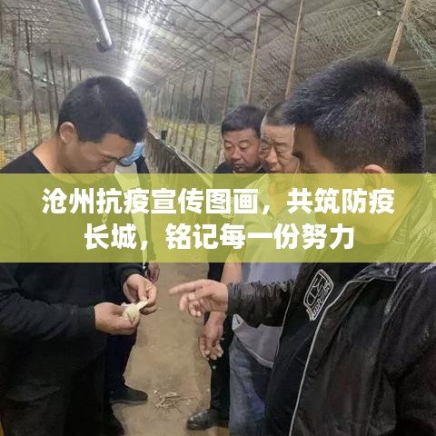 沧州抗疫宣传图画,共筑防疫长城,铭记每一份努力