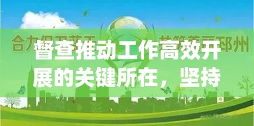 督查推动工作高效开展的关键所在,坚持督查,确保落实不松懈