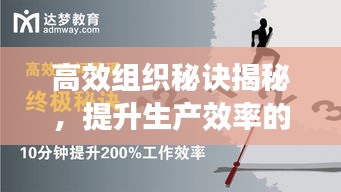 高效组织秘诀揭秘,提升生产效率的终极指南
