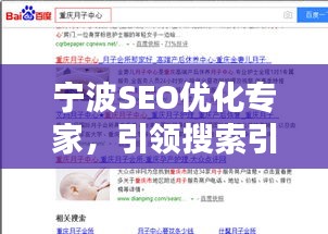 宁波SEO优化专家,引领搜索引擎排名之路