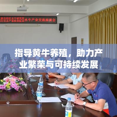 指导黄牛养殖,助力产业繁荣与可持续发展