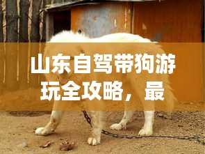 早生贵子 第3页