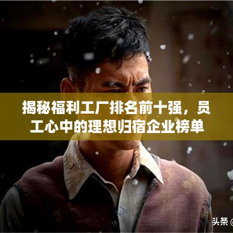 揭秘福利工厂排名前十强,员工心中的理想归宿企业榜单