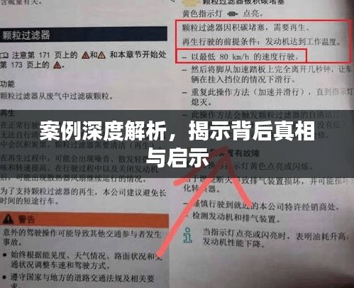 案例深度解析,揭示背后真相与启示