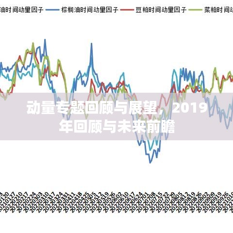 动量专题回顾与展望,2019年回顾与未来前瞻