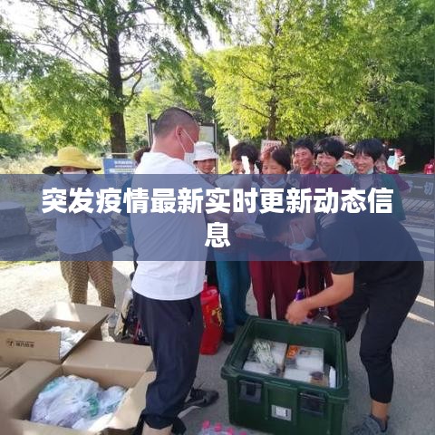 突发疫情最新实时更新动态信息