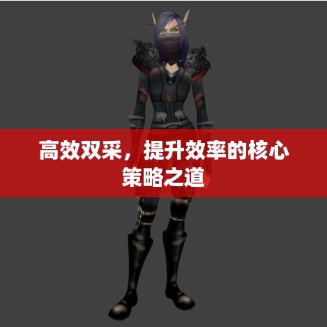 高效双采,提升效率的核心策略之道