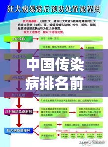 中国传染病排名前十概览,疾病威力与防控挑战