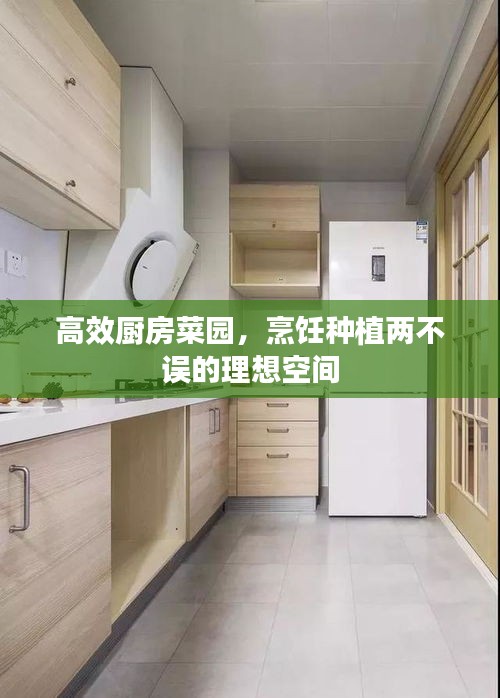 高效厨房菜园,烹饪种植两不误的理想空间