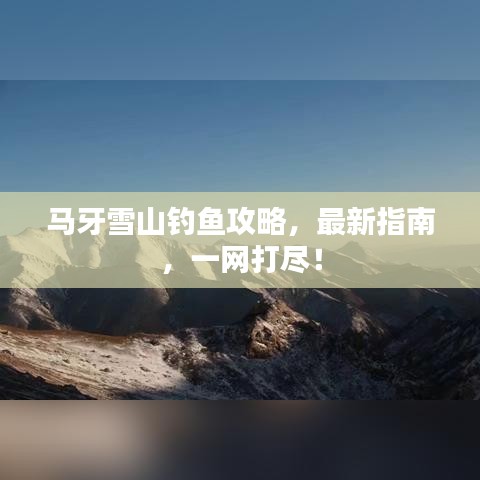 马牙雪山钓鱼攻略,最新指南,一网打尽!