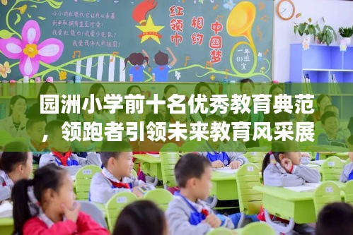 园洲小学前十名优秀教育典范,领跑者引领未来教育风采展示