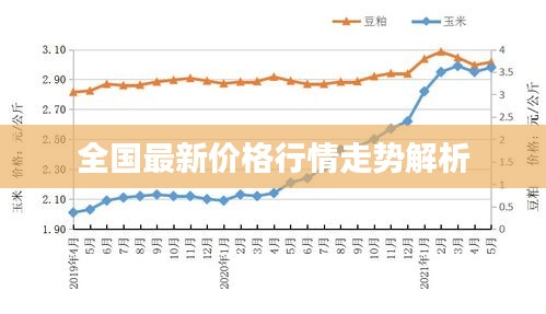 全国最新价格行情走势解析