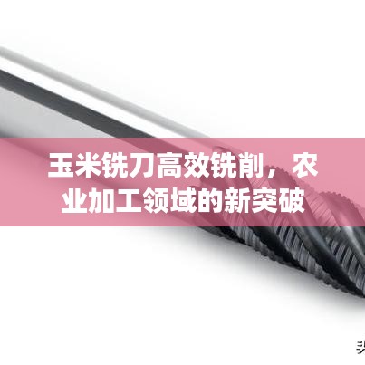 贵耳贱目 第3页