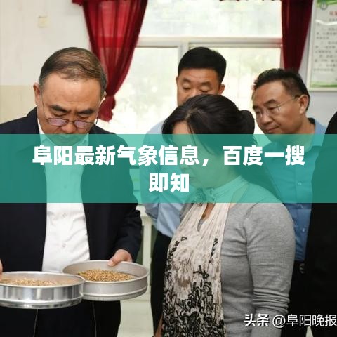 张口结舌 第3页