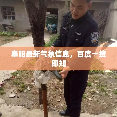 阜阳最新气象信息,百度一搜即知