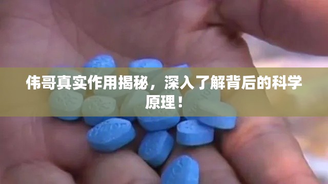 伟哥真实作用揭秘,深入了解背后的科学原理!