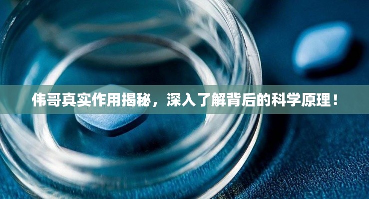 伟哥真实作用揭秘,深入了解背后的科学原理!