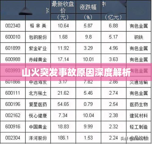 山火突发事故原因深度解析
