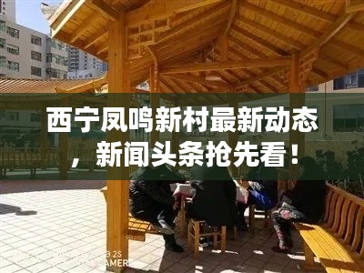 西宁凤鸣新村最新动态,新闻头条抢先看!