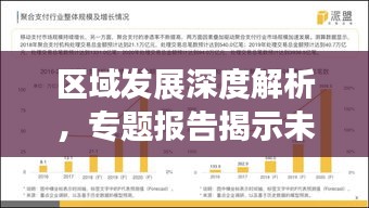区域发展深度解析,专题报告揭示未来趋势